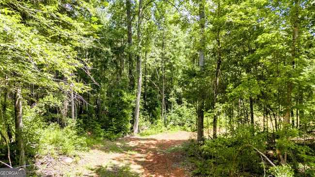 0 John Lovelace Rd, Home with 0 bedrooms, 0 bathrooms and null parking in LAGRANGE GA | Image 47