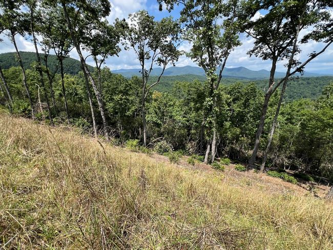 Lot 182 Skyline View Road, Home with 0 bedrooms, 0 bathrooms and null parking in Murphy NC | Image 6