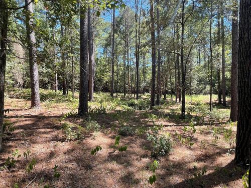 TBD Remington Rd, Huntsville, TX, 77340 | Card Image