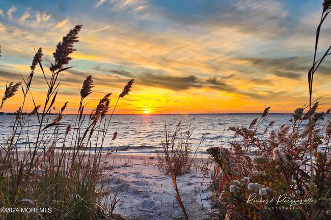 Copyright Richard Pasquarella Photography | Image 76
