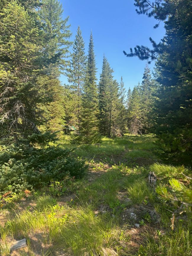 72 Keystone Flats Rd, House other with 3 bedrooms, 2 bathrooms and null parking in Libby MT | Image 14