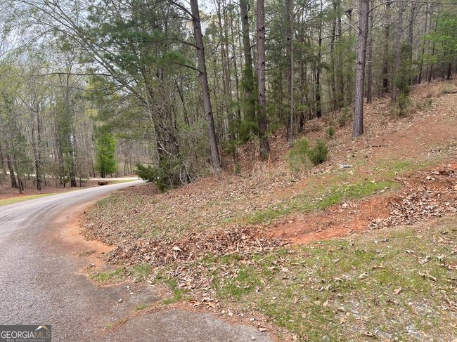 0 Green Oak Cir, Home with 0 bedrooms, 0 bathrooms and null parking in Thomaston GA | Image 34