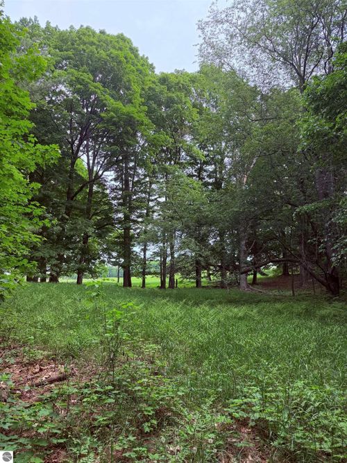 unit 11 Kadi Ln, Lake Ann, MI, 49650 | Card Image