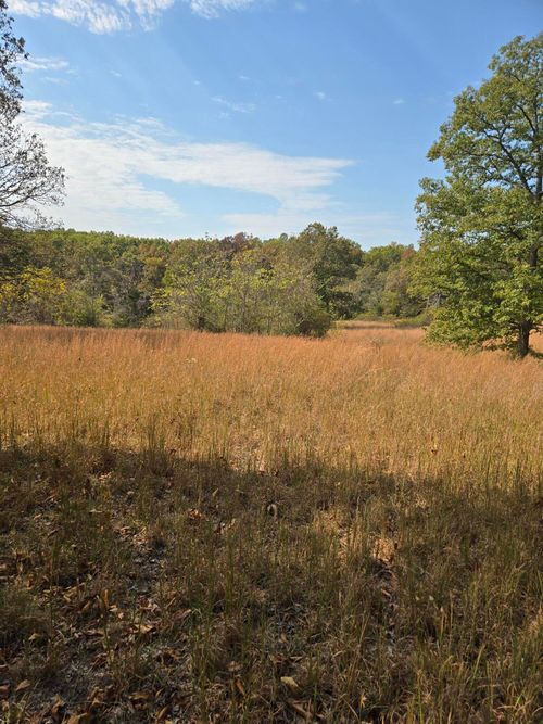 Lot 17 Arden Ridge, Ava, MO, 65608 | Card Image
