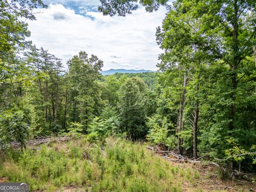 LT 1 Stormy Rdg, Brasstown, NC, 28902 | Card Image