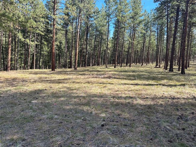 31760 Old Highway 10 W, Home with 0 bedrooms, 0 bathrooms and null parking in Alberton MT | Image 33