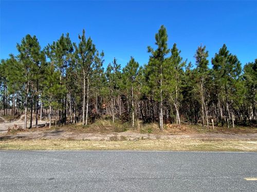 2988 Sw County Road 534, MAYO, FL, 32066-3908 | Card Image