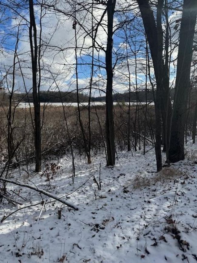 PARCEL-1 - V/L W Snows Lake Road, Home with 0 bedrooms, 0 bathrooms and null parking in Fenwick MI | Image 30