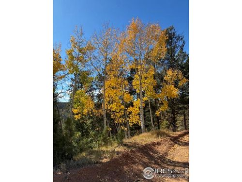 85 Remwood Cir, Divide, CO, 80814-9668 | Card Image