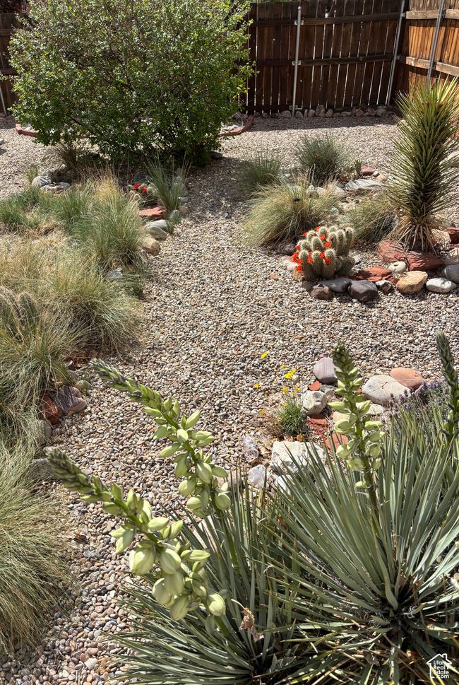 View of yard | Image 51