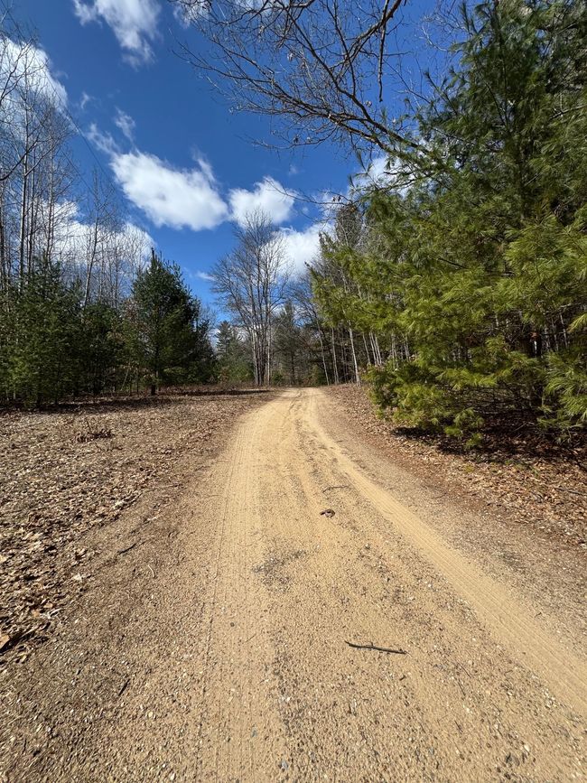 4233 Hardacre Trl, Home with 0 bedrooms, 0 bathrooms and null parking in Houghton Lake MI | Image 35