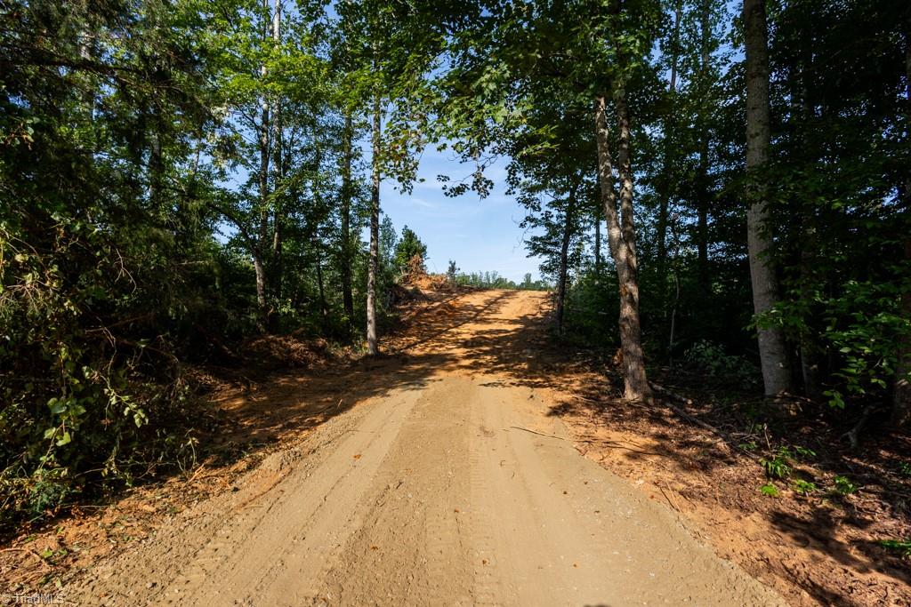 Land in Reidsville