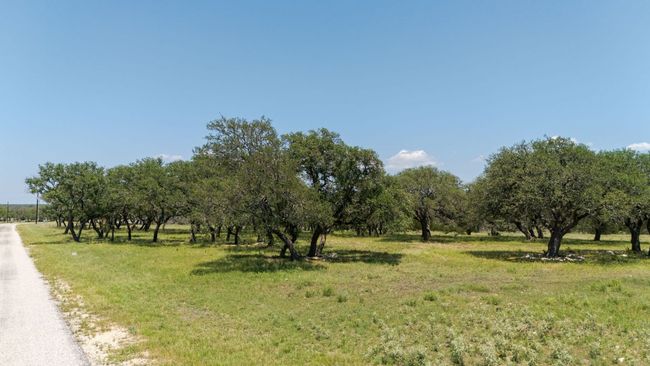 View of nature with rural landscape | Image 6