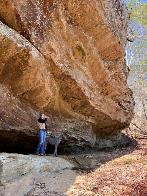 9999 Paradise Dr, Rogers, KY, 41365 | Card Image