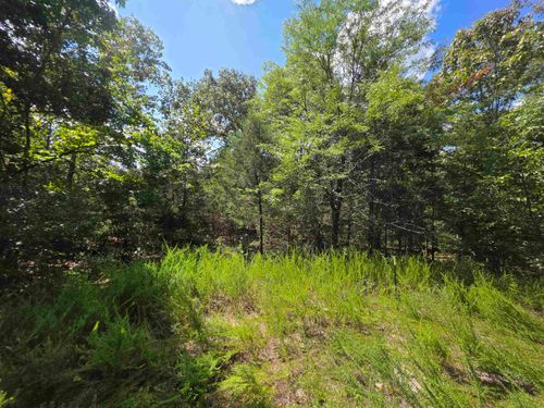 L20B5 Canute Dr, Cherokee Village, AR, 72529 | Card Image