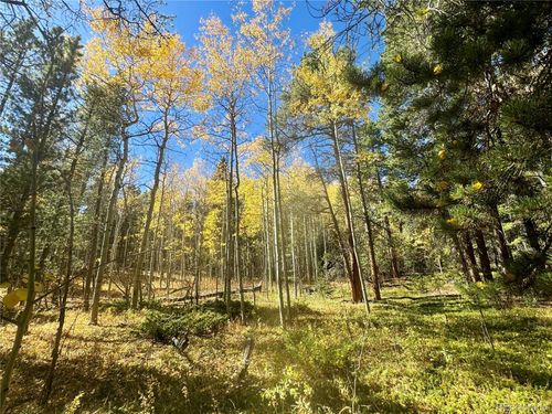 00 Lone Ponderosa Dr, Black Hawk, CO, 80422 | Card Image