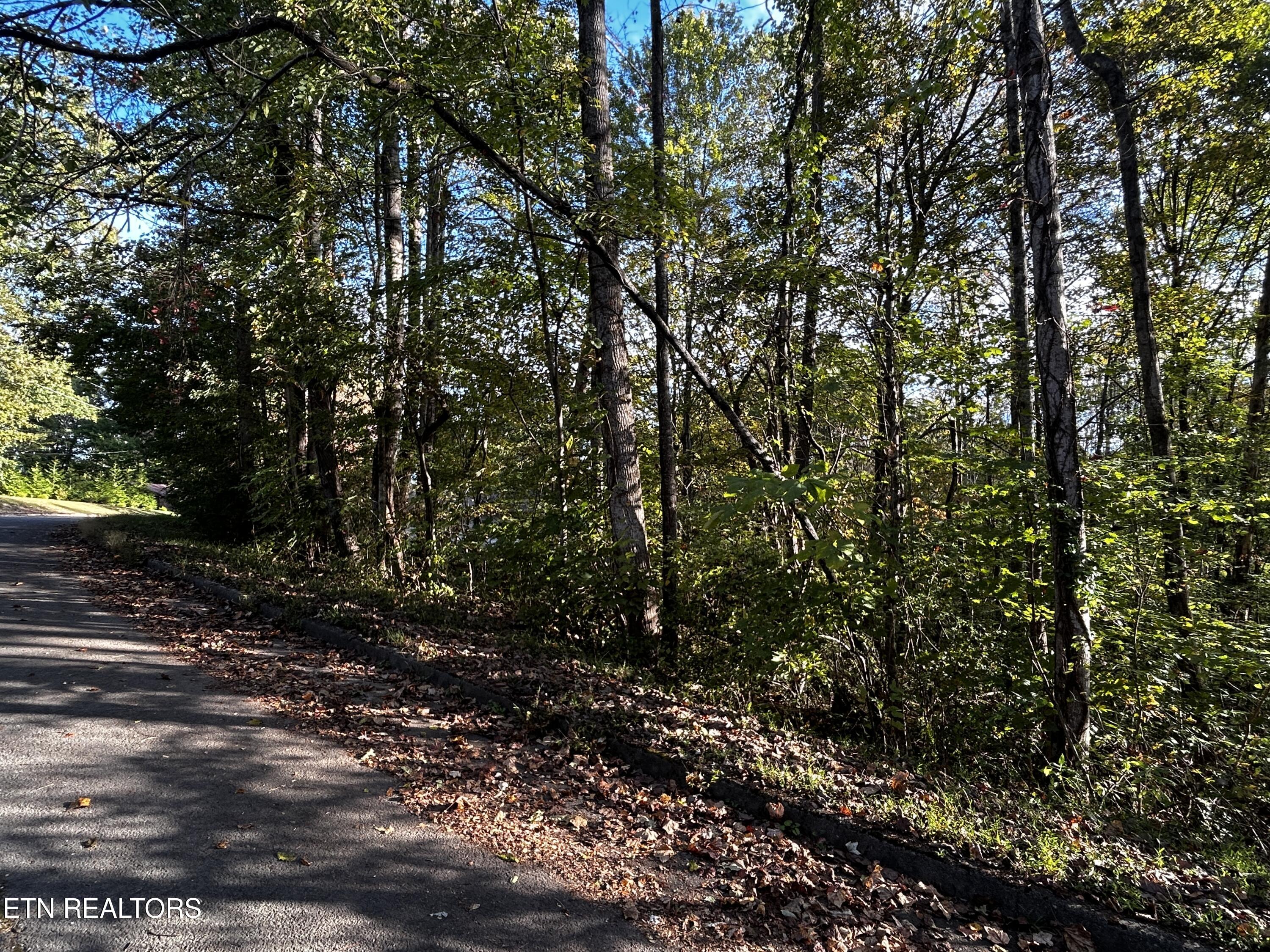 Land in Clinton 3