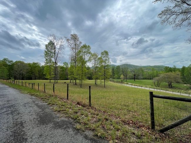 02 - 6.02 ac Ace Way, Home with 0 bedrooms, 0 bathrooms and null parking in Blairsville GA | Image 7