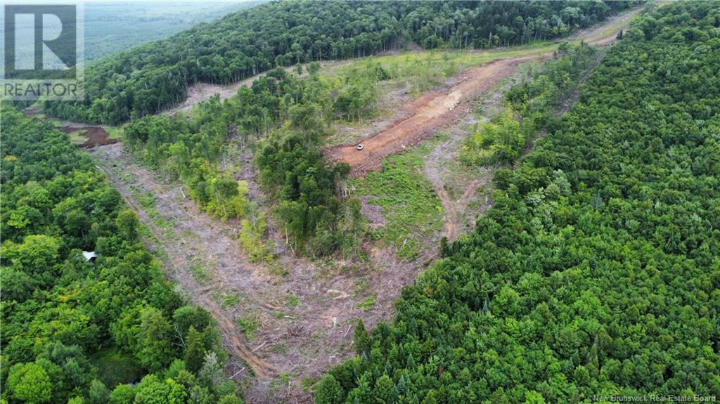 Land in Central Hainesville