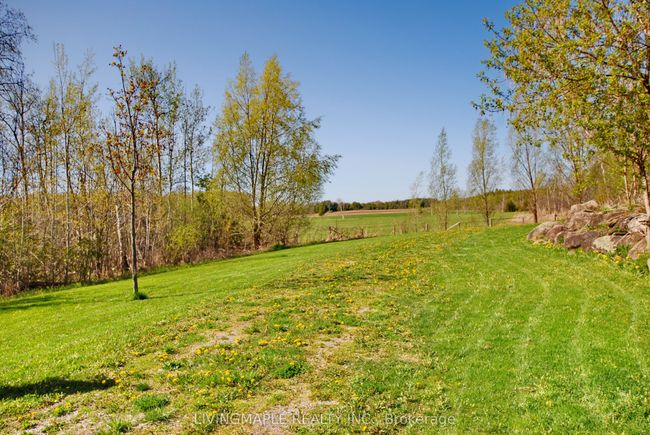 42 Ellisview Rd, House other with 4 bedrooms, 4 bathrooms and 12 parking in Georgina ON | Image 42