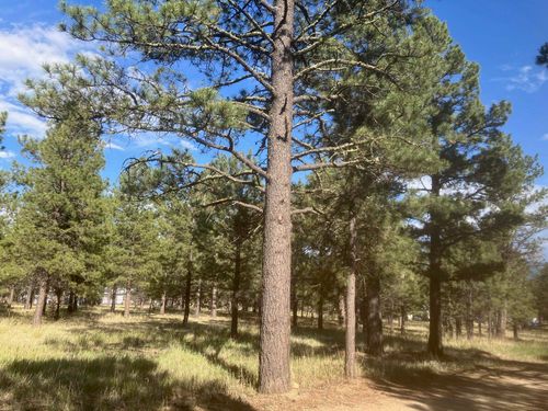 Lot 7 Pine Top Lane, Angel Fire, NM, 87710 | Card Image