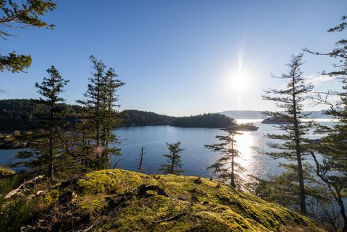 Lot 24 Pender Landing Rd, Garden Bay, BC, V0N | Card Image
