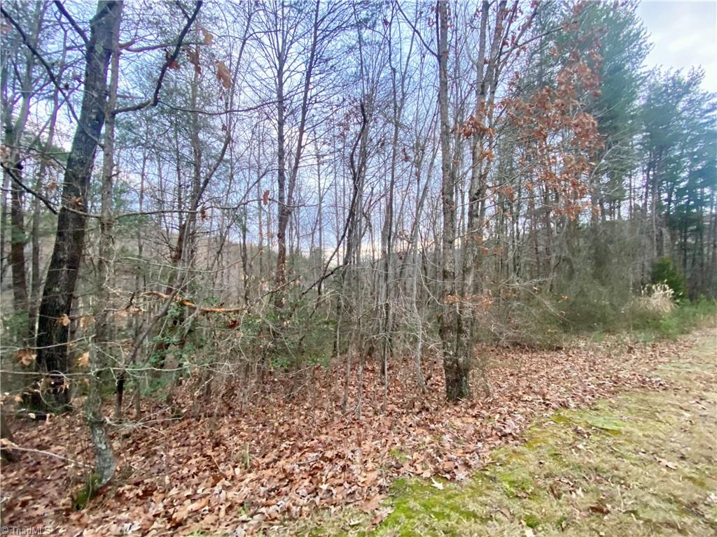 Land in North Wilkesboro 5