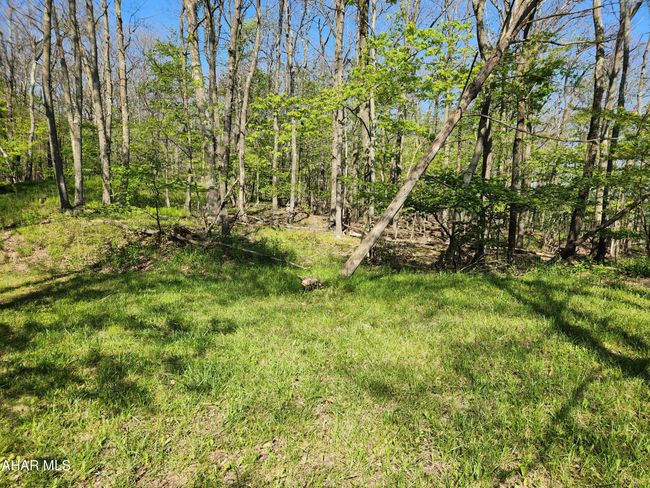 2299 Fleegle Rd, House other with 2 bedrooms, 2 bathrooms and null parking in Central City PA | Image 54