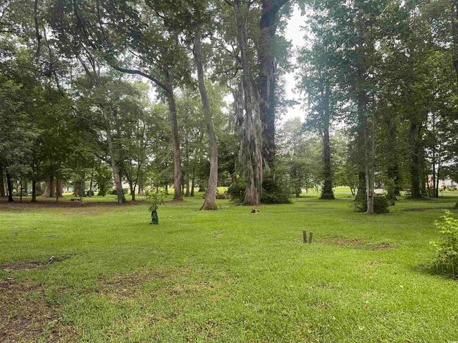 View of grassy yard | Image 35