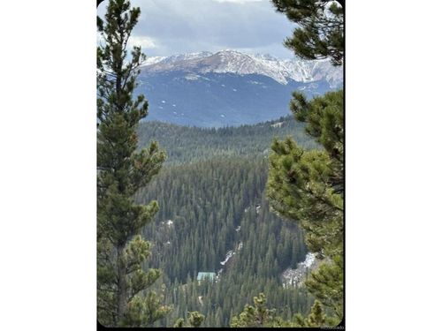 491 Hilltop Rd, Idaho Springs, CO, 80452 | Card Image