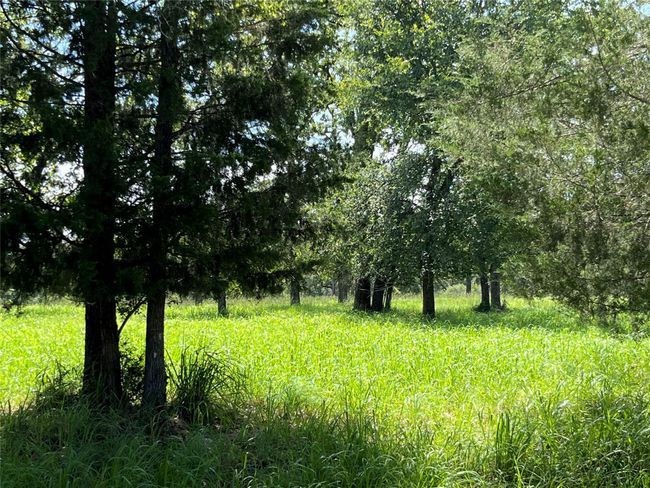 00 Hickory Loop, Home with 0 bedrooms, 0 bathrooms and null parking in Thornton TX | Image 6