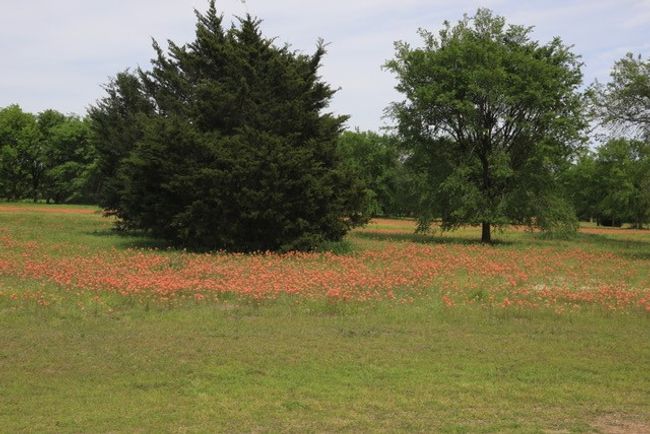 Lot 66, 67, 68, 69, 70, 7 Tonkawa Trail, Home with 0 bedrooms, 0 bathrooms and null parking in Corsicana TX | Image 23