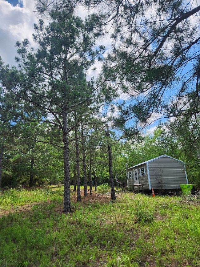 124 Paintbrush Ln, Home with 0 bedrooms, 0 bathrooms and null parking in Bastrop TX | Image 6