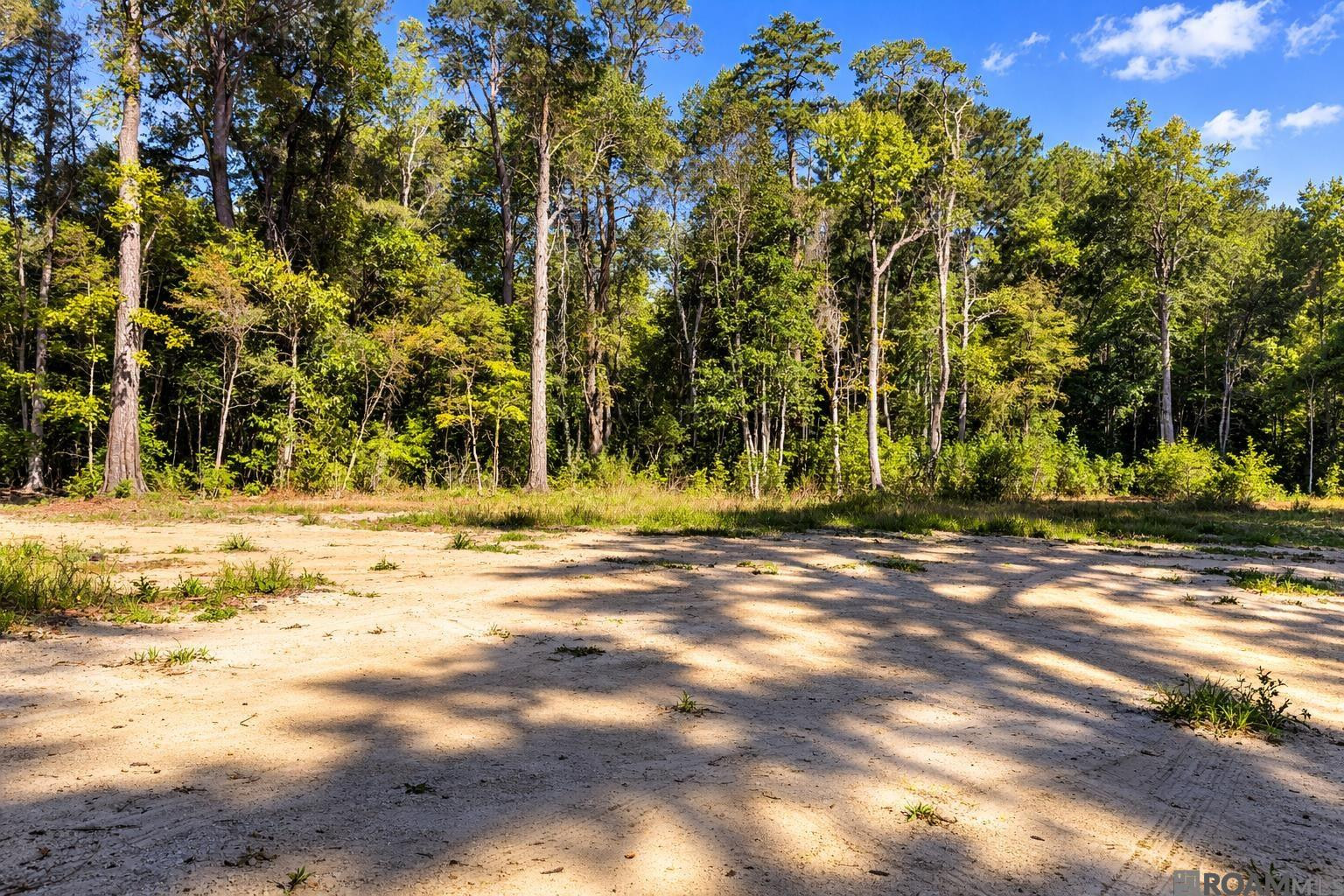 Land in Denham Springs 4