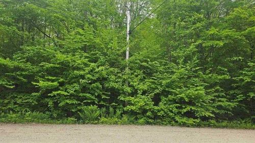 M111 L24&25 Tigola Trail, Stoddard, NH, 03464 | Card Image