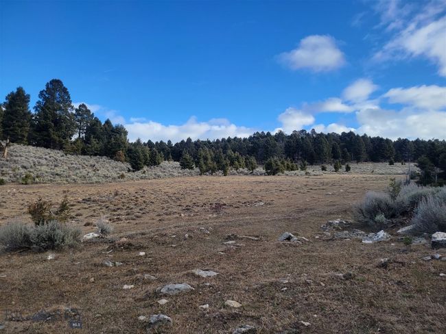 3 Bivens Creek Ridge Road, Home with 0 bedrooms, 0 bathrooms and null parking in Sheridan MT | Image 15