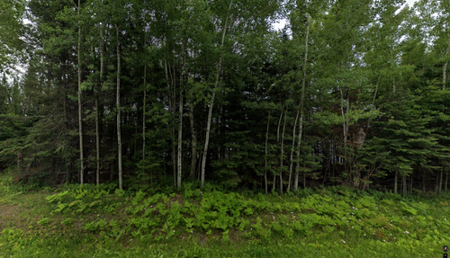 XXX Highway 100, Aurora, MN, 55705 | Card Image