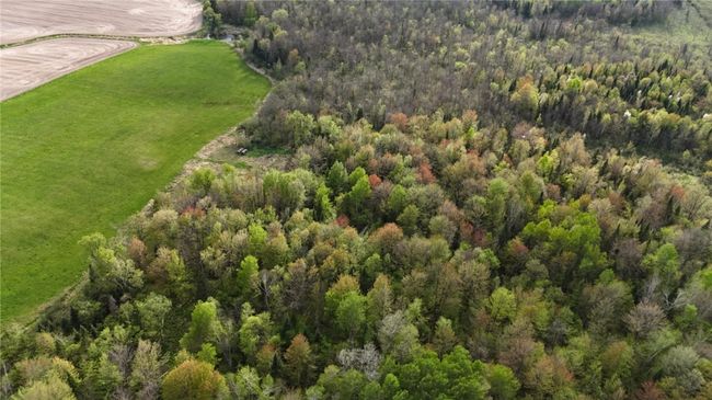 0000 Trucker Ln, Home with 0 bedrooms, 0 bathrooms and null parking in Gilman WI | Image 12