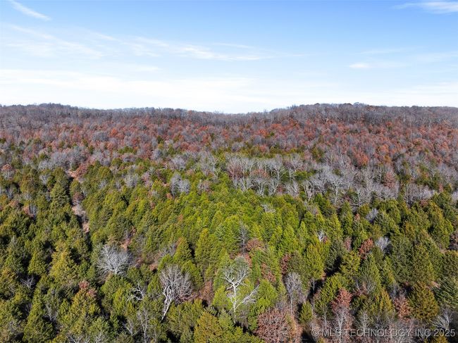 00 Mckey Rd, Home with 0 bedrooms, 0 bathrooms and null parking in Vian OK | Image 5
