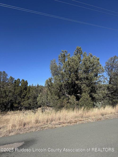L310 Santiago Cir, Alto, NM, 88312 | Card Image