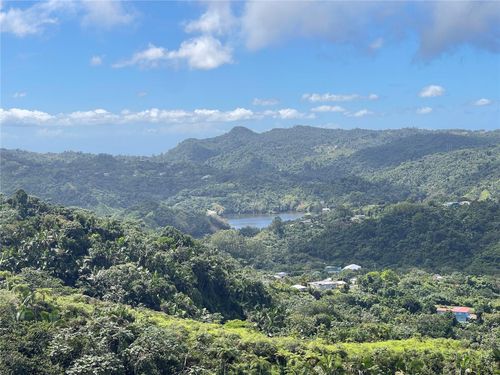 PR-518 KM.10.0 Garzas Ward, ADJUNTAS, PR, 00601 | Card Image
