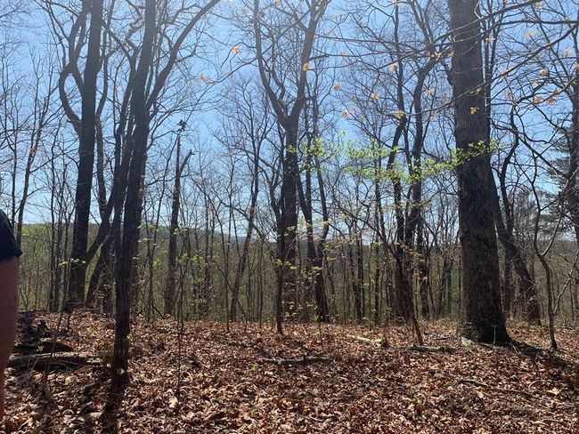 91 - 43 Old Burnt Mountain Rd, Home with 0 bedrooms, 0 bathrooms and null parking in Ellijay GA | Image 21