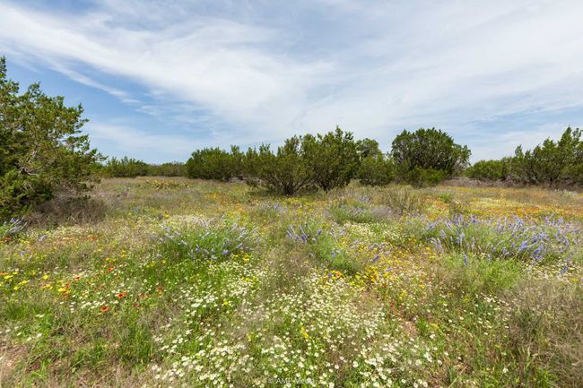 Tract 3 Us Hwy 277, Home with 0 bedrooms, 0 bathrooms and null parking in Wingate TX | Image 11