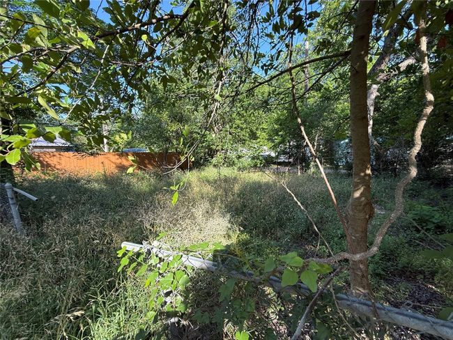 View of local wilderness | Image 8