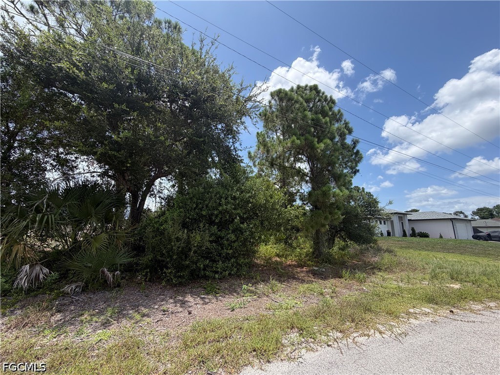 Land in Lehigh Acres 2
