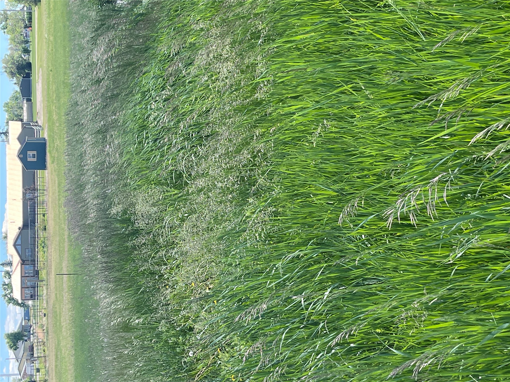 Land in Valier 2