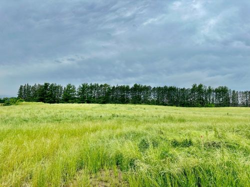 2535 Pioneer Trl, Medina, MN, 55340-9382 | Card Image