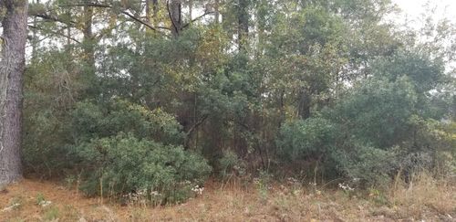 0 Reardon Ave, Walterboro, SC, 29488 | Card Image