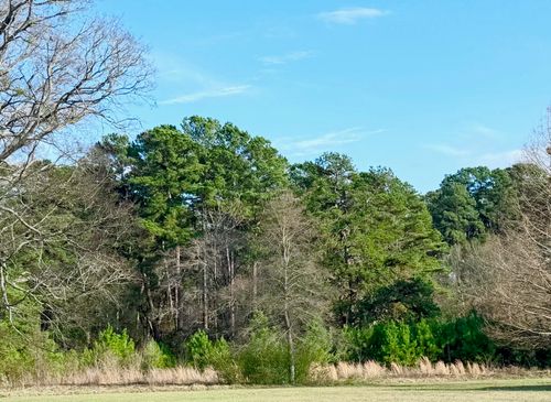TBD Danville Road, Kilgore, TX, 75662 | Card Image