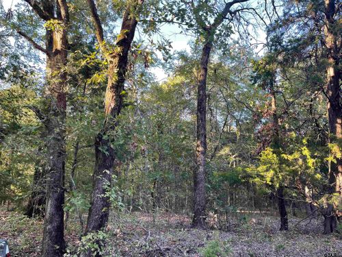 0 County Road 4710, LaRue, TX, 75770 | Card Image